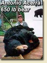 Antonio Acerra with record Black Bear catch at 650 lbs