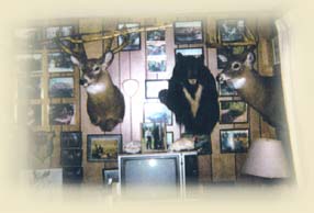 Trophy Head Wall
